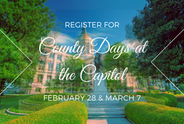 ACCG Advancing Georgia's Counties